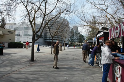 new madden library at start of walk