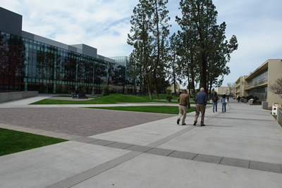 The view down the walk