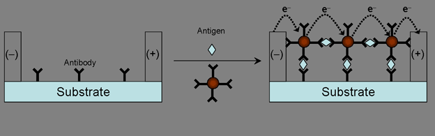 biosensor