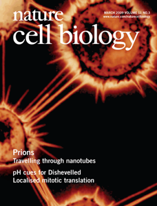 Publication cover art.