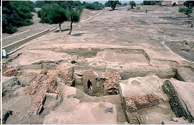 Harappa excav