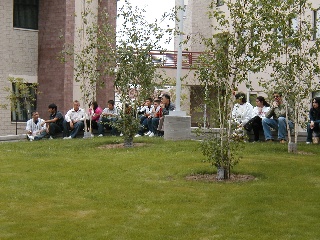 2006