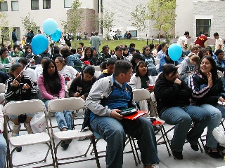 2006
