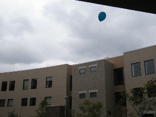 2006