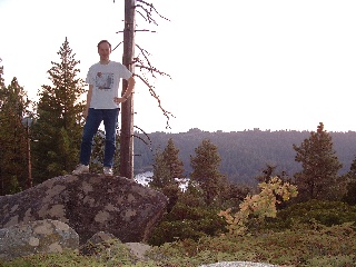 sequoia
