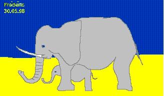 elephant.jpg